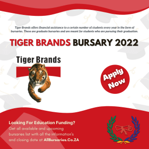 Tiger Brands Bursary